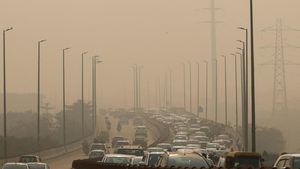 Potret Polusi Udara di New Delhi yang Menyesakan Dada