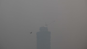 India Utara darurat medis, polusi udara masuk kategori berbahaya. India Utara darurat medis, polusi udara masuk kategori berbahaya.