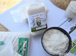 Beras dengan Kandungan Zat Besi 3 Kali Lipat Bisa Jadi Solusi Stunting