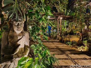 Weekend di Denpasar, Mampirlah ke Kebun Tengah Kota yang Estetik Ini Weekend di Denpasar, Mampirlah ke Kebun Tengah Kota yang Estetik Ini