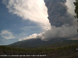Gunung Lewotobi Laki-laki Erupsi Siang Ini, Kolom Abu 4 Km-Awan Panas 2 Km