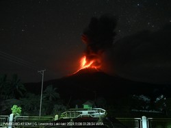 Gunung Lewotobi Laki-laki Kembali Erupsi, Ribuan Warga Masih di Pengungsian
