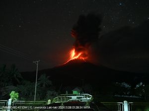 Gunung Lewotobi Laki-laki Kembali Erupsi, Ribuan Warga Masih di Pengungsian Gunung Lewotobi Laki-laki Kembali Erupsi, Ribuan Warga Masih di Pengungsian