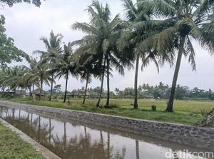 Kabar Baik Dab! Selokan Van Der Wijck Bakal Dibuka 10 November