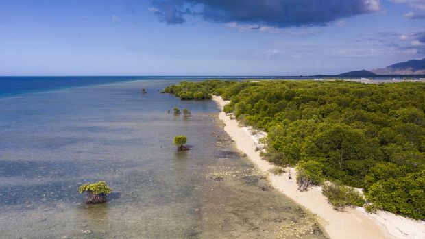 Aerial drone view of a white sand beach with mangrove forest in Pemuteran area, a small town located on the north western part of Bali in Indonesia.