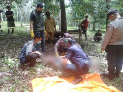 Sugianto Ditemukan Tewas Tanpa Celana di Kebun Karet Musi Rawas