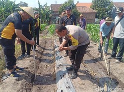 Gowes Ketahanan Pangan, Polisi Pasuruan Tanam Jagung Bareng Warga