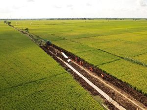 RI Utang ke Jepang Rp 27,06 T buat Bangun Irigasi hingga Jalan RI Utang ke Jepang Rp 27,06 T buat Bangun Irigasi hingga Jalan