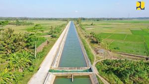 RI Buru 1 Juta Hektar Lahan buat Irigasi