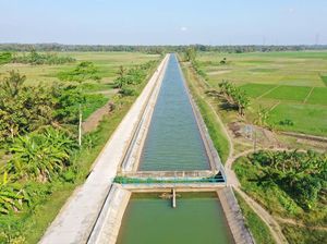 RI Buru 1 Juta Hektar Lahan buat Irigasi