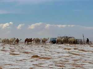 Langka! Salju Turun di Gurun Al-Jawf Arab Saudi Langka! Salju Turun di Gurun Al-Jawf Arab Saudi
