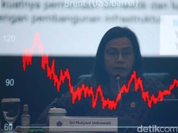 Video Sri Mulyani Umumkan Defisit APBN Rp 401,8 T per November 2024