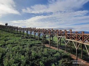 Merasakan Suhu Turun Drastis di Taman Langit Pangalengan