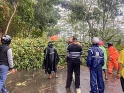 Hujan Angin Terjang 2 Kecamatan di Bondowoso, Puluhan Rumah Rusak