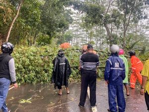 Hujan Angin Terjang 2 Kecamatan di Bondowoso, Puluhan Rumah Rusak Hujan Angin Terjang 2 Kecamatan di Bondowoso, Puluhan Rumah Rusak