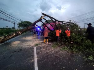Hujan Angin Terjang 4 Kecamatan di Lamongan, Pohon Tumbang-Rumah Rusak Hujan Angin Terjang 4 Kecamatan di Lamongan, Pohon Tumbang-Rumah Rusak