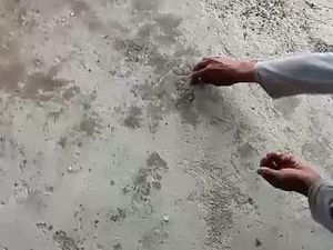 Lamongan Dilanda Hujan Es, Butirannya Sebesar Kuku Lamongan Dilanda Hujan Es, Butirannya Sebesar Kuku