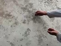 Lamongan Dilanda Hujan Es, Butirannya Sebesar Kuku