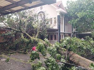 Beringin Raksasa Tumbang Timpa Gereja Tua di Cimahi