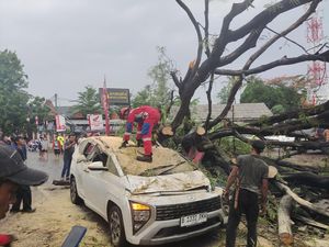 Pohon Tumbang Timpa Mobil di Jaktim, 5 Orang Termasuk 3 Anak Dievakuasi
