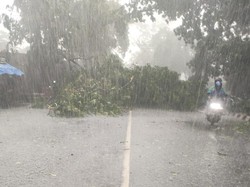 Hujan dan Angin Kencang Terjang Cimahi, Jalan Banjir-Pohon Tumbang