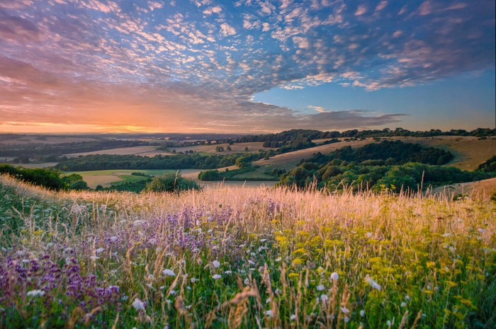 Taman Nasional South Downs, Inggris Taman Nasional South Downs, Inggris