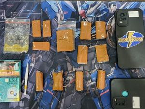 Pengedar Narkoba di Bogor Ditangkap, 12 Paket Sinte Disita