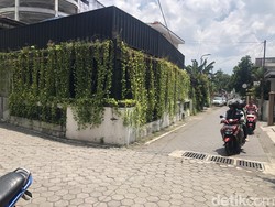 Takut Burung Kontes Stres Bikin Bang Jago Emosi Pukul Pemotor di Demangan Jogja