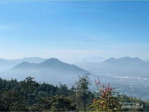 Tempat yang Sejuk-sejuk di Jawa Barat: Wisata Batu Kuda Tempat yang Sejuk-sejuk di Jawa Barat: Wisata Batu Kuda