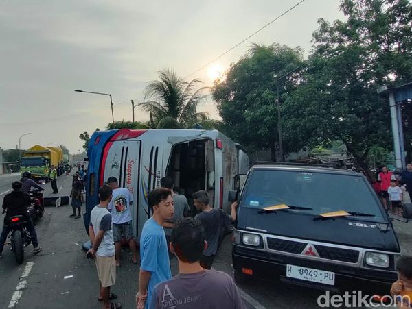 Penampakan Bus Sugeng Rahayu Terguling di Balongbendo Sidoarjo