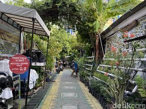 Cerita Kampoeng Wisata Oase Ondomohen Surabaya Ubah Sampah Jadi Berkah Cerita Kampoeng Wisata Oase Ondomohen Surabaya Ubah Sampah Jadi Berkah
