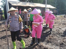 Polisi Bagikan Bibit dan Tanam Jagung di Rembang dan Wonorejo Pasuruan