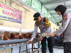 Dukung Ketahanan Pangan, Polsek Bojonegoro Ternak Ayam Petelur