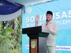 Yandri Dorong BUMDes Jadi Penyuplai Program Makan Bergizi Gratis