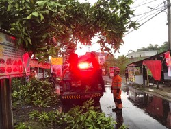 Pohon Tumbang Imbas Hujan dan Angin, Sempat Tutup Jalan di Bogor