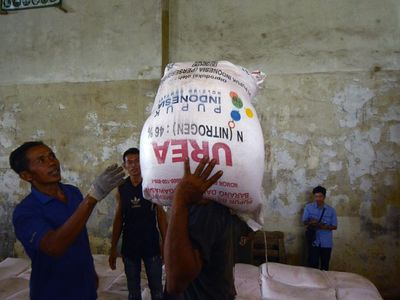 Menengok Distribusi Pupuk Subsidi di Bandar Lampung