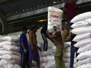 Pupuk Indonesia Pastikan Stok Pupuk Subsidi di Madura Aman