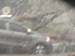 Pohon Tumbang di Alam Sutera Timpa Mobil, Tak Ada Korban