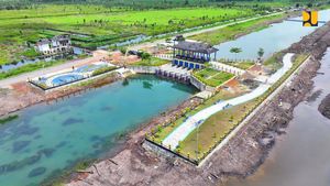 Begini Potret Jaringan Irigasi Pendukung Kawasan Food Estate