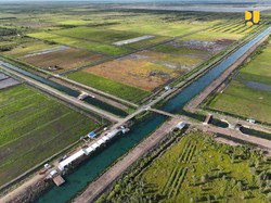 Agrinas Pangan Bakal Kelola 425 Ribu Ha Lahan Food Estate Akhir Tahun Ini