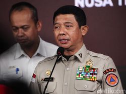 BNPB Ungkap Sejumlah Wilayah RI Rentan Bencana karena Alih Fungsi Lahan