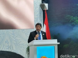 Prabowo Bakal Sulap 12,7 Juta Ha Hutan RI Lestari Lagi