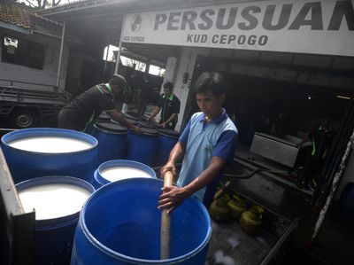 Industri Wajib Serap Susu Sapi Lokal!