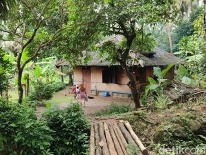 Cerita Gadis Kampung Kuta Ciamis, Akrab dengan Ragam Pantangan Hidup Cerita Gadis Kampung Kuta Ciamis, Akrab dengan Ragam Pantangan Hidup