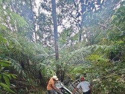 Mobil Bawa WN Malaysia Masuk Jurang 30 Meter di Aceh, 3 Orang Terluka
