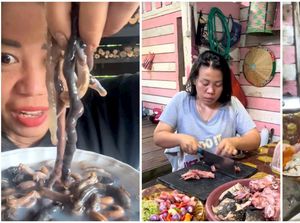 5 Hidangan Ekstrem Khas Dayak Bulusu, Ada Tembiluk hingga Sop Tupai 5 Hidangan Ekstrem Khas Dayak Bulusu, Ada Tembiluk hingga Sop Tupai