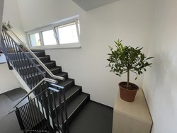 3 Jenis Material Lantai Tangga yang Kuat dan Aman