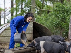 Eksperimen Hidup Hemat, Influencer Ini Pilih Makan Pakan Babi Rp 6.500