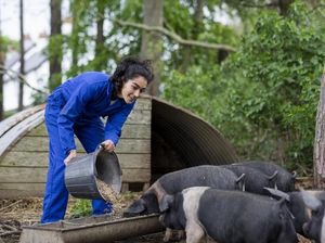 Eksperimen Hidup Hemat, Influencer Ini Pilih Makan Pakan Babi Rp 6.500 Eksperimen Hidup Hemat, Influencer Ini Pilih Makan Pakan Babi Rp 6.500