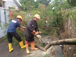 Hujan Angin di Sukabumi Bikin Atap Rumah Terbang-Pohon Tumbang